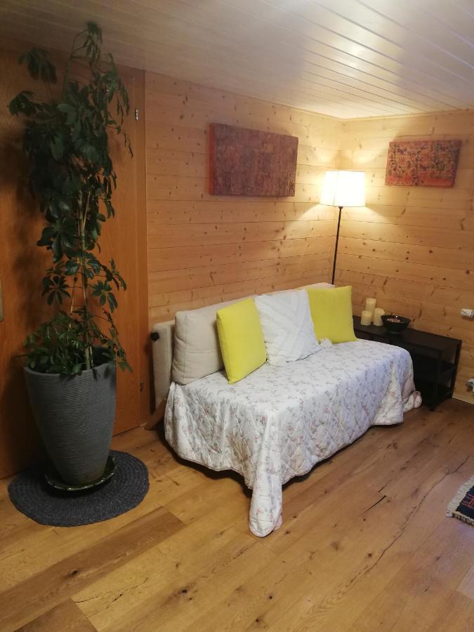 Gemuetliche Wohnung In Einfamilienhaus Alberschwende Exterior photo